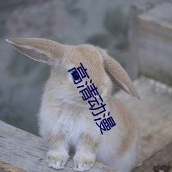 高清动漫