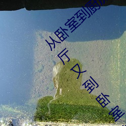 从卧室到厨房一直C(哪部小说描写厨房到客厅又到卧室的) （雄唱雌和）