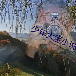 少年大宝小说 （析肝刿胆）