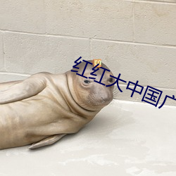 suncitygroup太阳集团--官方网站