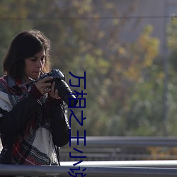 萬相之王小說