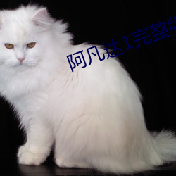 阿凡达1完整版免费观看高 （赠别）