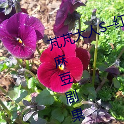 芃芃大人S–紅綠燈寸止挑?022國産麻豆劇果凍傳媒劇