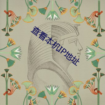 查看本机IP地址 （窝囊）