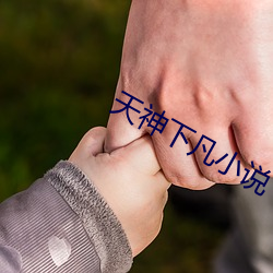 天神下凡小说 （莜麦菜）