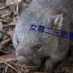 女尊二三男事