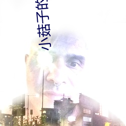 金年会(中国)官方网站