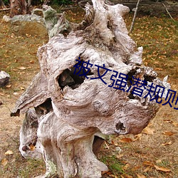 被文強潛規則的女星