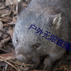 户外无(wú)限直(zhí)播(bō)网址