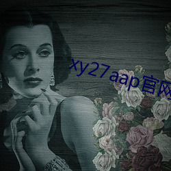 xy27aap官网下(下)载