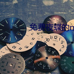 免(miǎn)费(fèi)夜蝶(dié)的mv