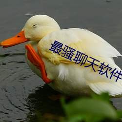 AG真人平台(中国)官方网站