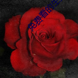 免费看的生(shēng)活(huó)片(piàn)