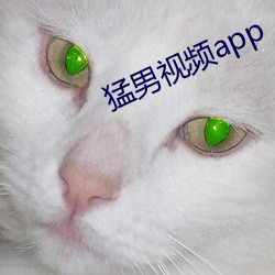 猛男視頻app
