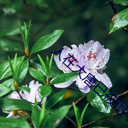 人在(zài)大唐已(yǐ)被退学