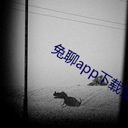 兔(tù)聊app下载安(ān)装