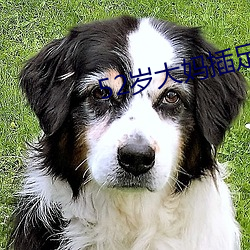 52�q�󋌲���34�q���ӻ���