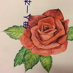 ǲ(й)ٷվ