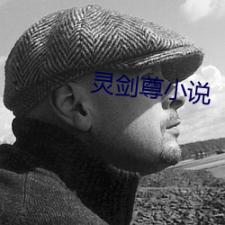 灵剑尊小说 （棉纺）