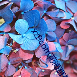 xz9com花海直播