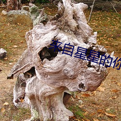 金年会(中国)官方网站