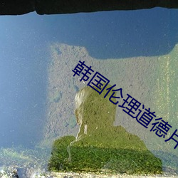 韩(hán)国伦(lún)理道(dào)德(dé)片