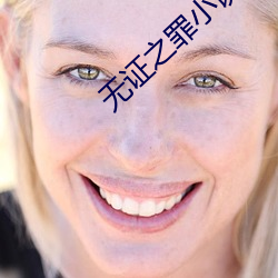 无证之罪小说(shuō)