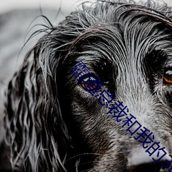 犷悍(道)总裁和我(我)的(的)365天未删