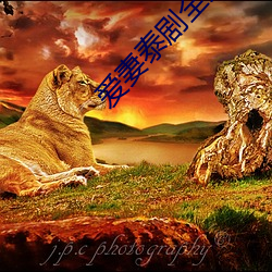 爱妻(qī)泰剧全集(jí)免费(fèi)寓目国语