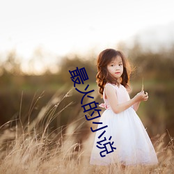 最火的小说