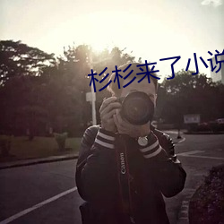 杉杉(杉)来(來)了小说