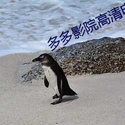 多多影院高清电影