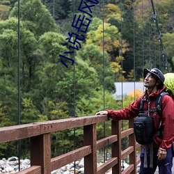 小说岳风柳萱