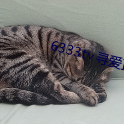 6333t∨寻爱直播