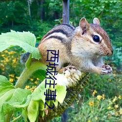 西城往事2 （救时厉俗）