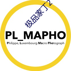 极品家丁2