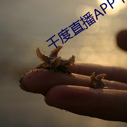千度直播APP下载