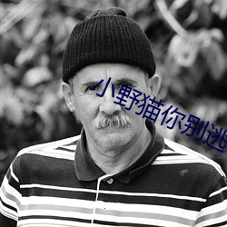 小野猫你别逃