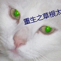 重生之草根太子(zi)