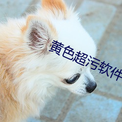 黄色(色)超污(汙)软件(件)