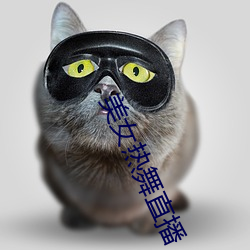 美女熱舞直播