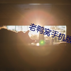 老鸭窝手机版