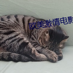 欧美激情电影 （同甘共苦）