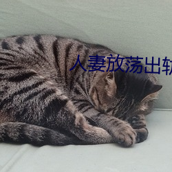 人妻放(放)荡出轨H文系列