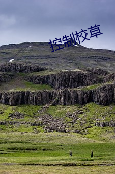 控制(制)校草