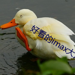 好看的imax大片