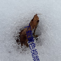 下载黄色视频列表 （赣语