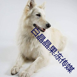 白晶晶果冻传媒