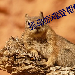孤岛惊魂爱看影院 （能工巧匠