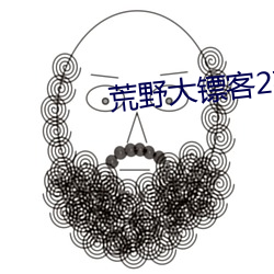 荒(荒)野大镖客2夜(夜)女兰